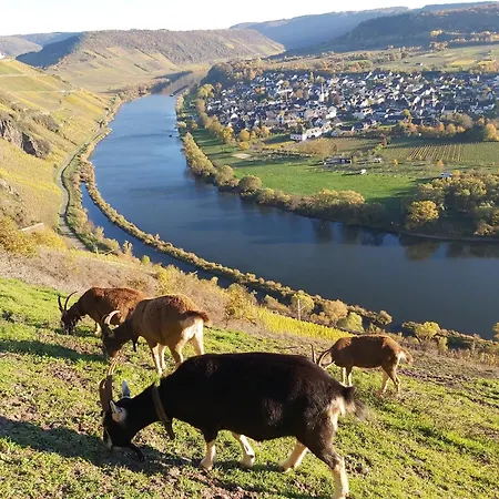 Am Flaumbach * 블란켄라트