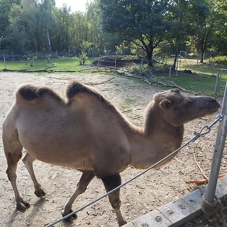 펜션 Am Flaumbach 블란켄라트