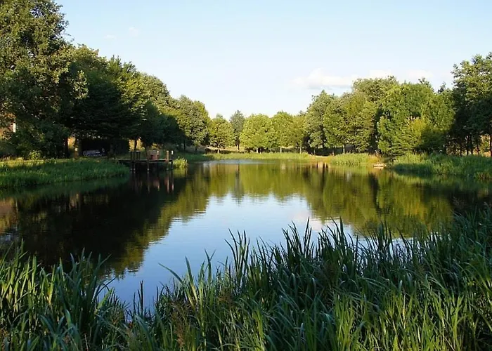 Am Flaumbach Holiday home