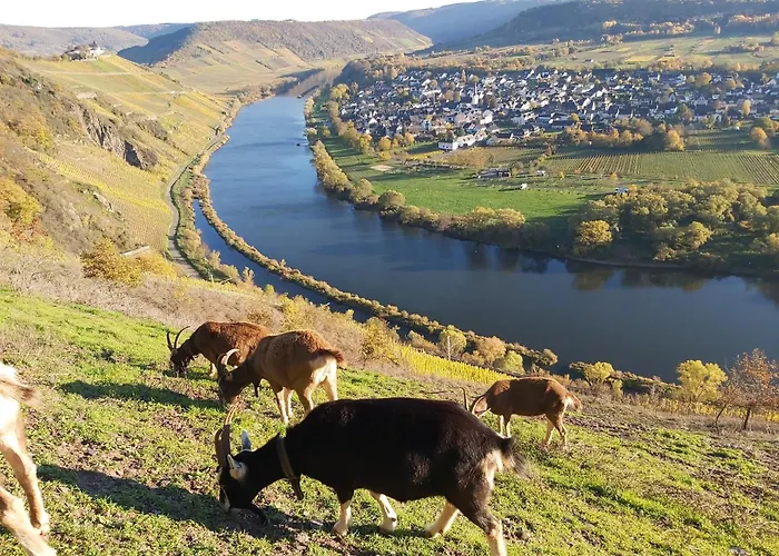 Am Flaumbach * Blankenrath